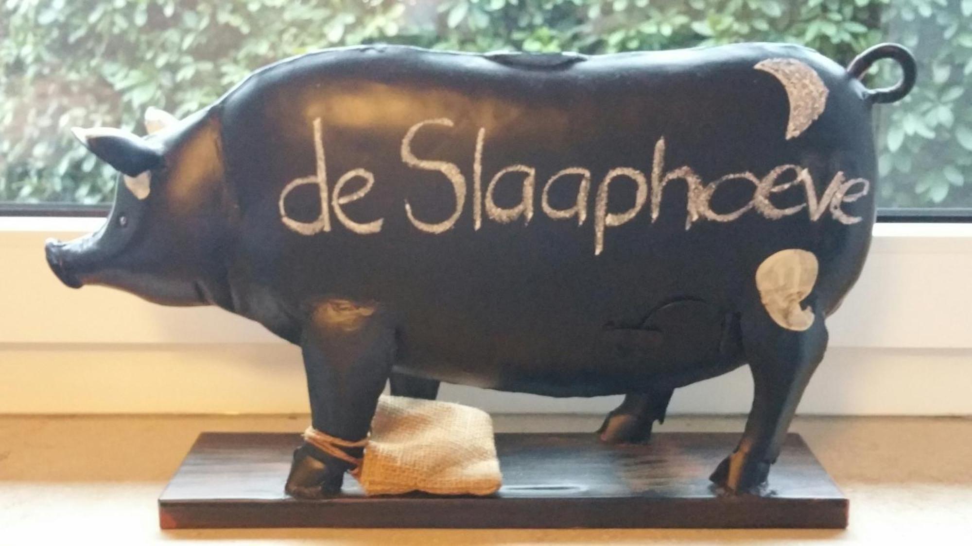 Ferienbauernhof De Slaaphoeve Emlichheim Dış mekan fotoğraf
