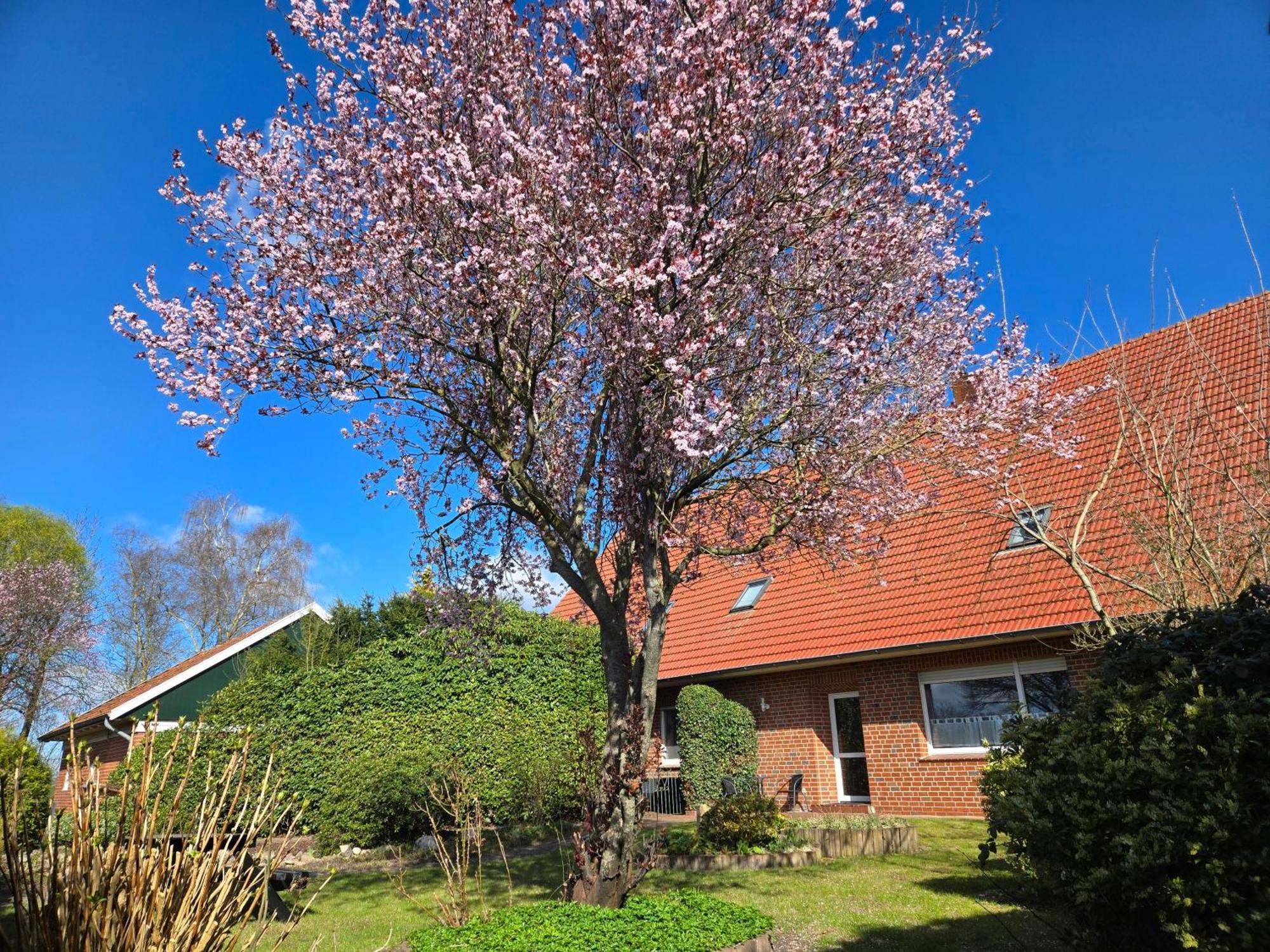 Ferienbauernhof De Slaaphoeve Emlichheim Dış mekan fotoğraf